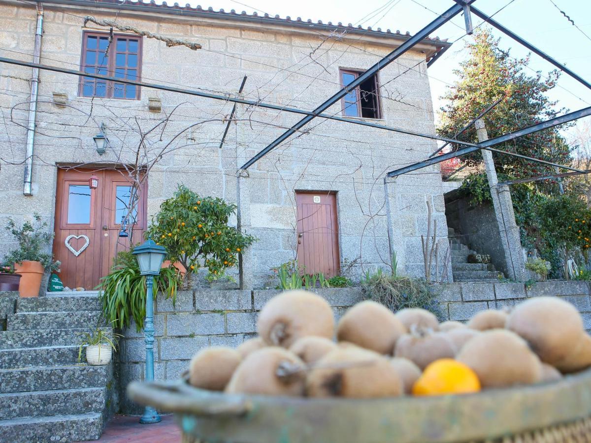 Casa De Sao Joao Das Castanheiras Resende Kültér fotó