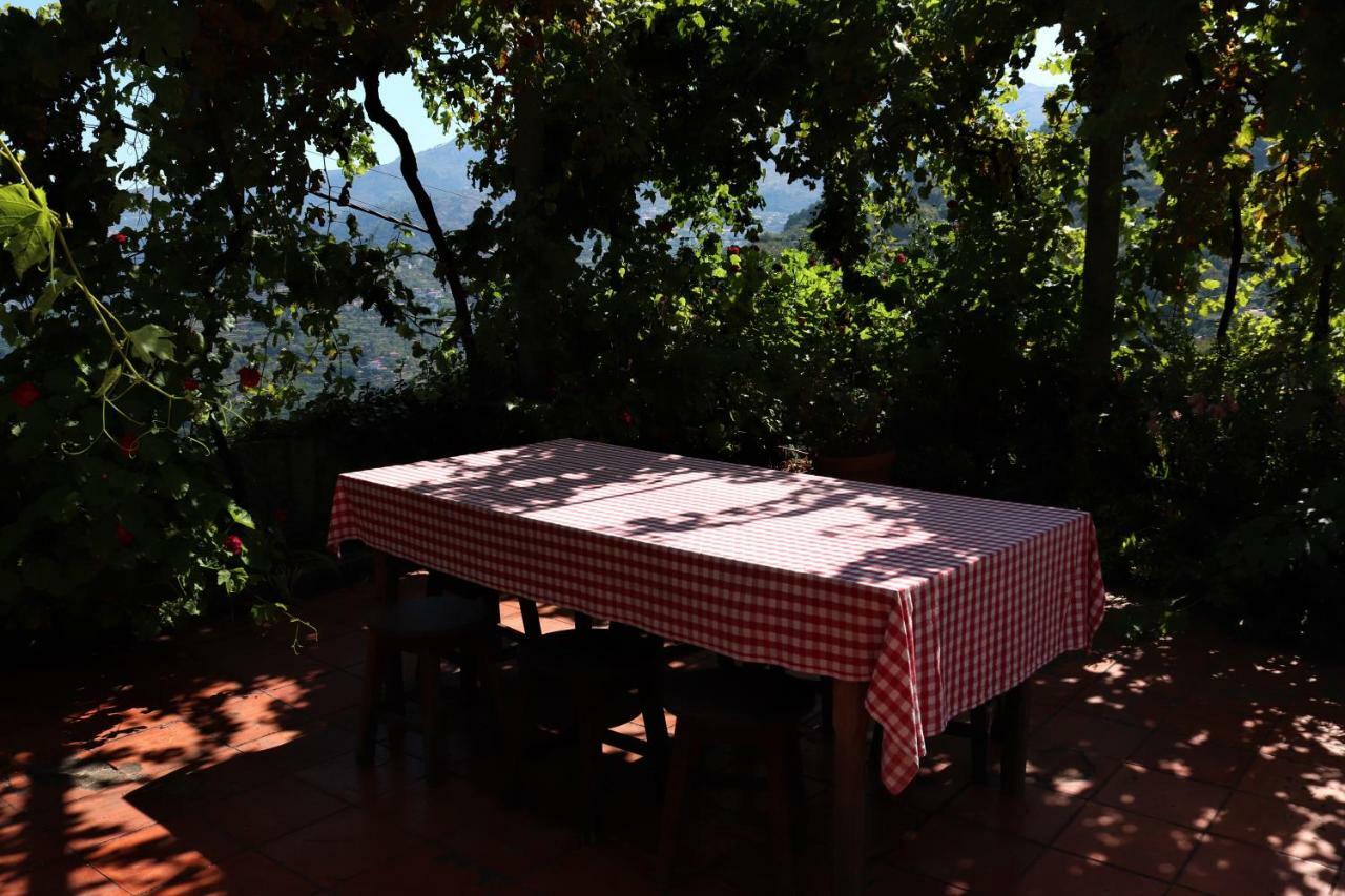 Casa De Sao Joao Das Castanheiras Resende Kültér fotó